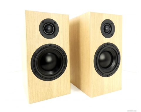 Totem Acoustic Bison Monitor Totem Acoustic Bison Monitor